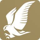 Gulf Air logo